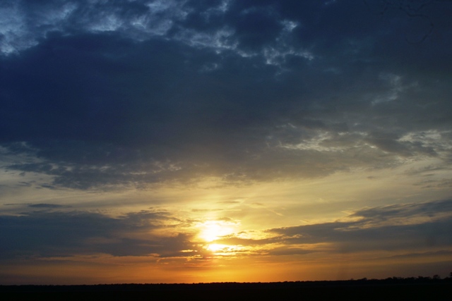 c0062603_113826.jpg