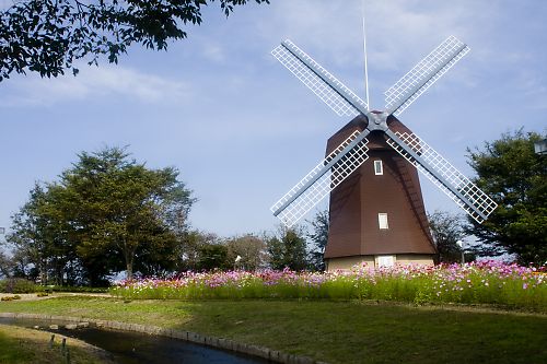 e0193503_1722349.jpg