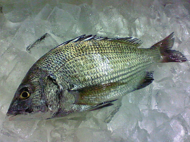 f0175403_91517.jpg