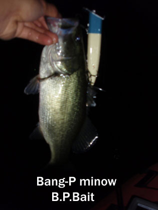 c0023804_2049491.jpg