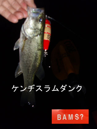 c0023804_20521674.jpg