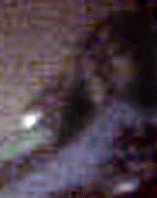 e0103408_21575315.gif