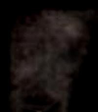e0103408_22125842.gif