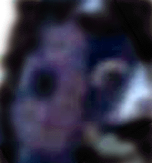 e0103408_2213202.gif
