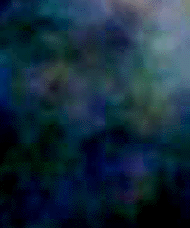 e0103408_22134033.gif