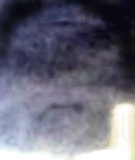e0103408_22141754.gif