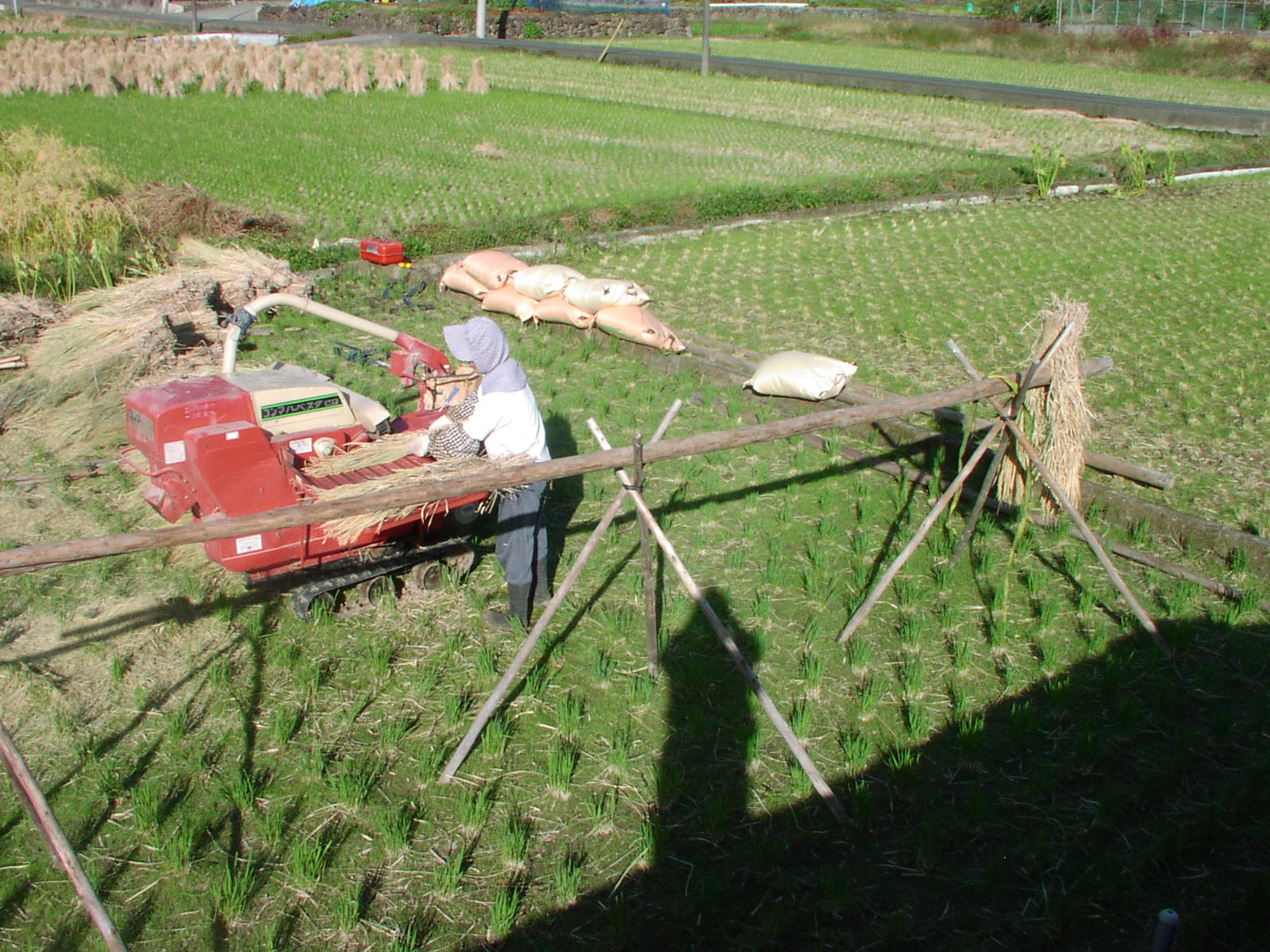 f0164410_20555456.jpg