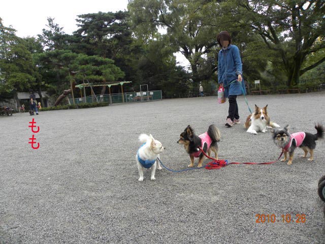 b0203018_1601020.jpg