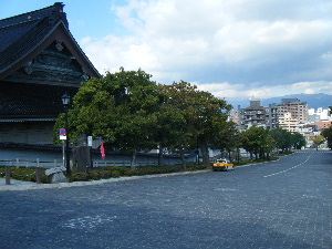 e0093518_1581850.jpg