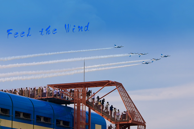 2010年 岐阜基地航空祭予行・・・Blue Impulse_f0117120_2105268.jpg