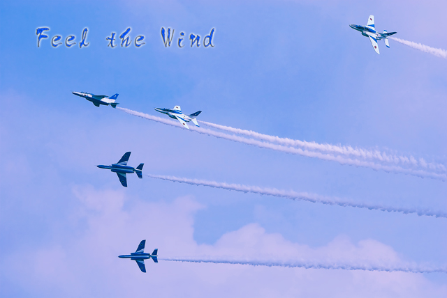 2010年 岐阜基地航空祭予行・・・Blue Impulse_f0117120_212121.jpg