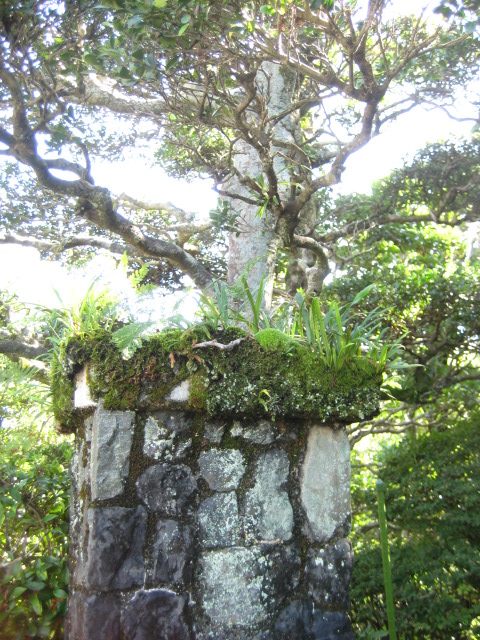 d0147727_1933278.jpg