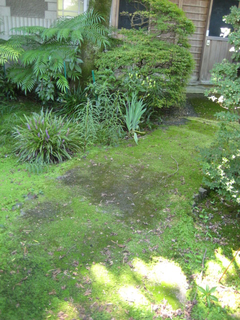 d0147727_19351012.jpg