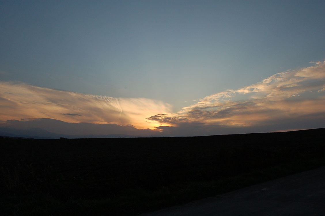 b0142428_2005220.jpg