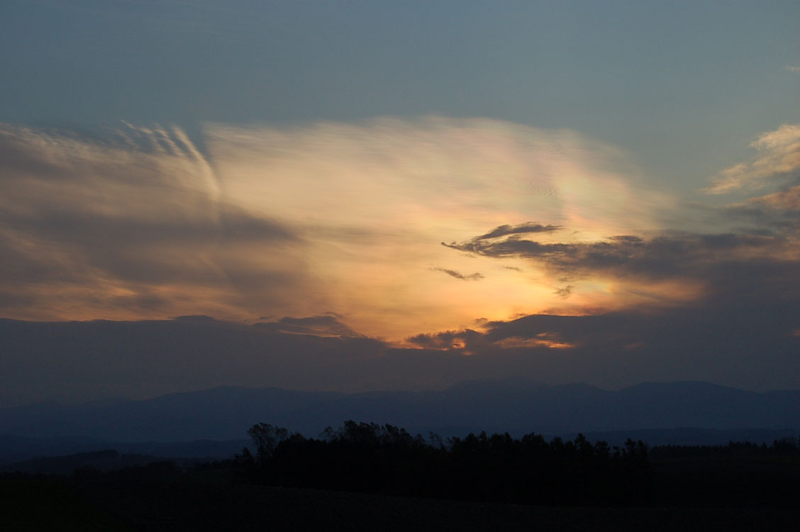 b0142428_204447.jpg