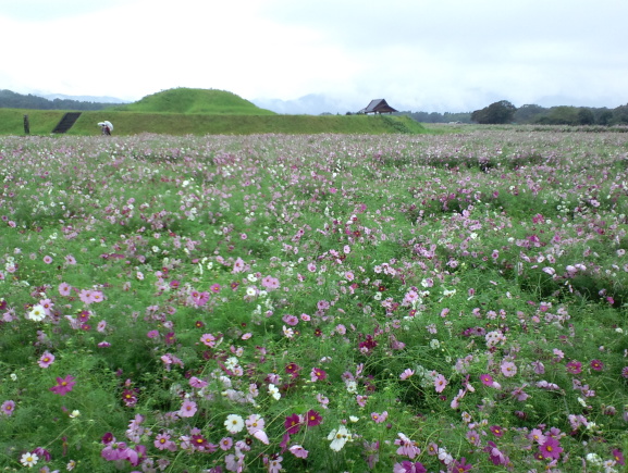 秋の西都ツアー2010 Part2_f0086230_70946.jpg