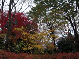 e0202031_22413349.jpg