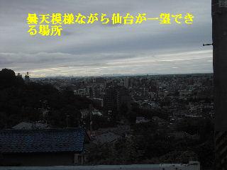 植木剪定_f0031037_18483444.jpg