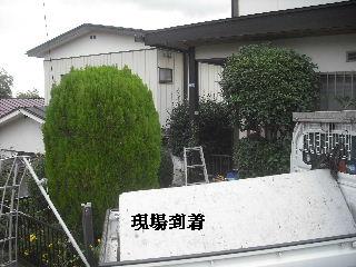 植木剪定_f0031037_184985.jpg