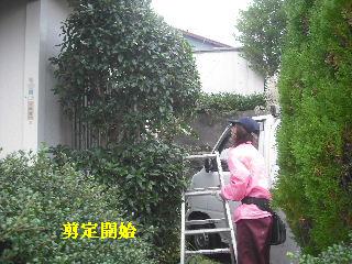 植木剪定_f0031037_18543226.jpg