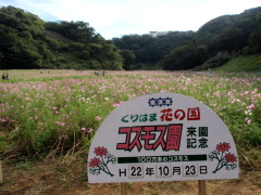 c0097838_17144172.jpg