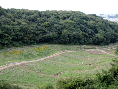 c0097838_17195411.jpg