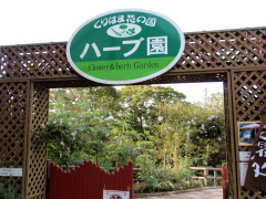 c0097838_17462135.jpg