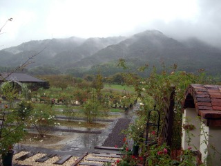 e0110940_22284779.jpg