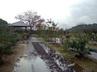 e0110940_2229983.jpg