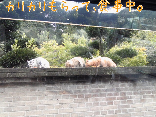 c0029442_13365425.jpg