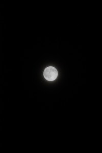 c0132646_22182147.jpg