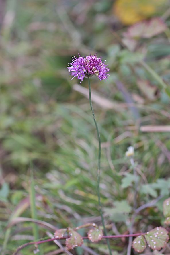 c0008948_6245848.jpg