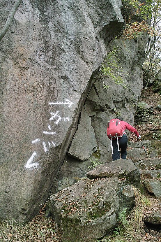 グルリと見える：水沢山_c0008948_63451.jpg