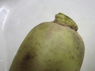 d0063149_2364787.jpg