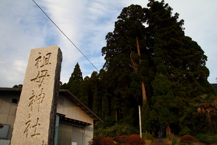 祖母神社のスギとイチョウ 　in　高森町_b0123359_2035581.jpg