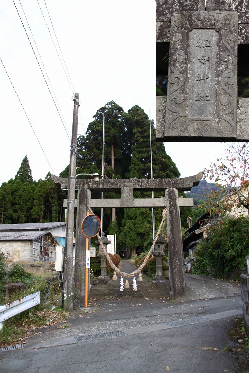 祖母神社のスギとイチョウ 　in　高森町_b0123359_2038244.jpg