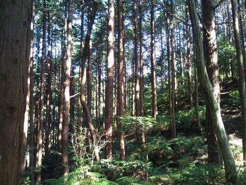 e0177961_0185440.jpg