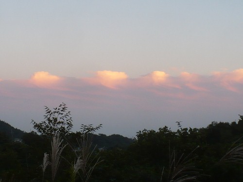a0063364_05513.jpg