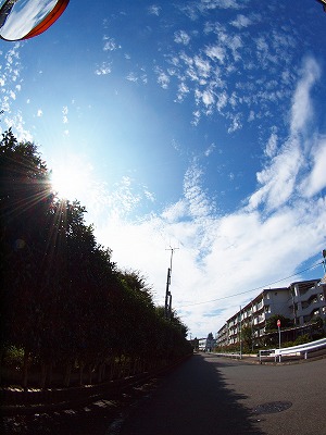 b0180764_01483.jpg