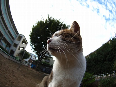 b0180764_061629.jpg