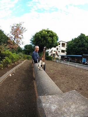 b0180764_06399.jpg