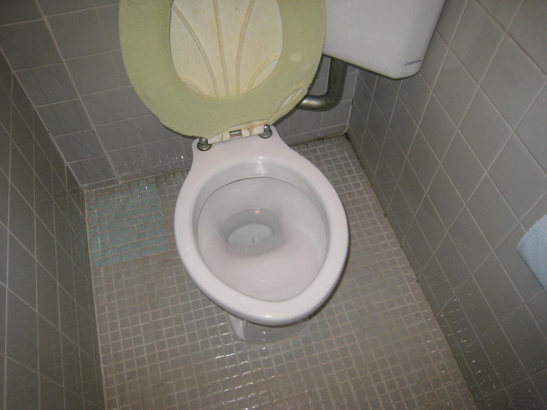 トイレの水漏れ_f0205367_1636286.jpg