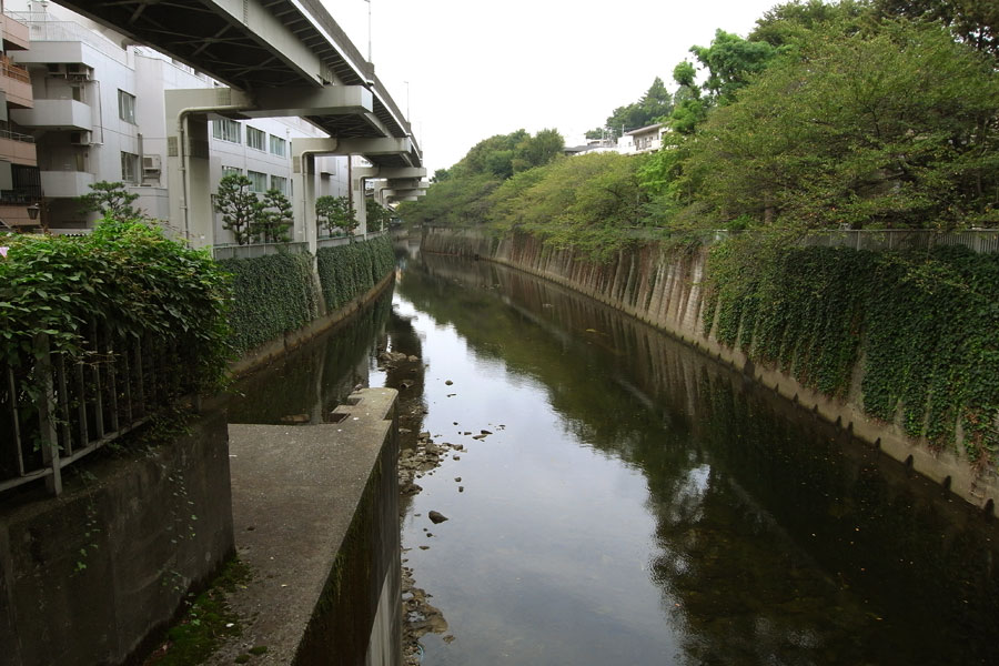 後楽園から護国寺散歩４_f0177368_10504478.jpg