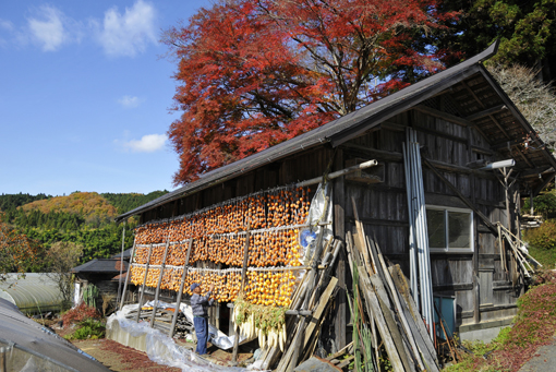 淡交社「なごみ」11月号　美しい日本の、心の日溜まり_f0143469_1133322.jpg