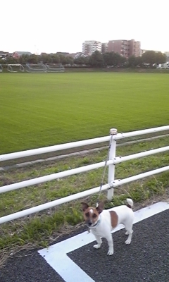 f0100871_22245171.jpg
