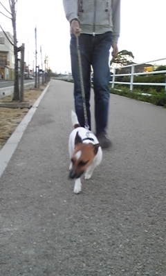 f0100871_2230123.jpg