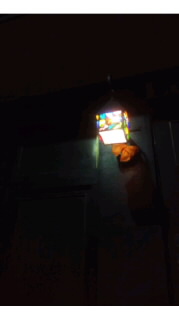 c0110074_14314282.jpg