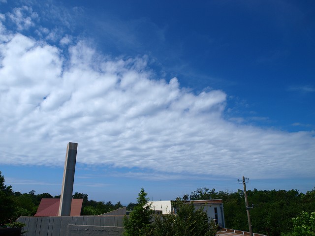 地震雲？_b0145677_168949.jpg