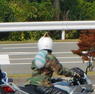 b0011980_0333318.jpg