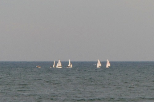 b0011980_038723.jpg